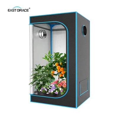 เต็นท์ปลูกพืชขนาด 320W ที่ดีที่สุดสำหรับมือใหม่คืออะไร?