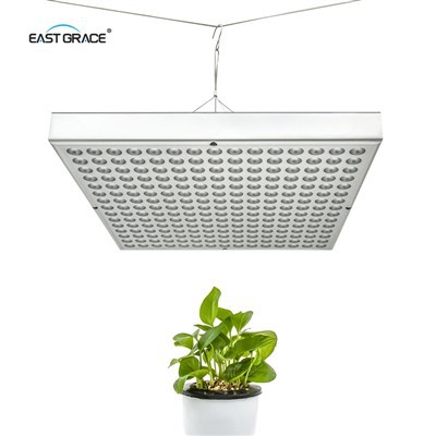 แผงไฟ LED ขนาด 30W สแควร์เติบโต